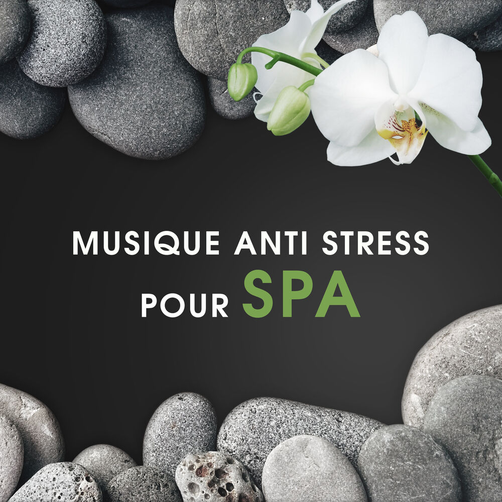 Picture of Musique anti stress pour spa – Musique pour méditation, Dormir profondément, Sons de la nature, Musique douce, Zen garden, Thérapi