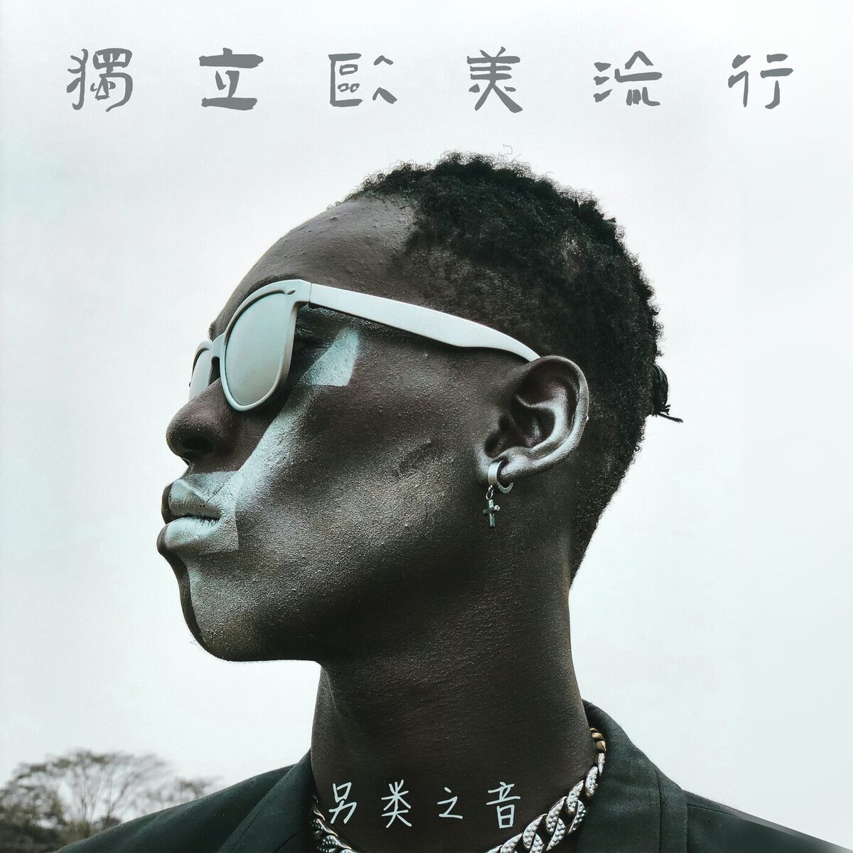 Album cover of 独立欧美流行 另类之音
