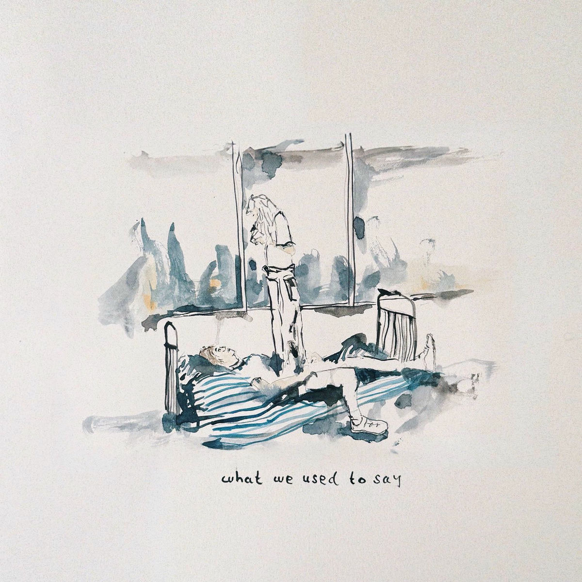 Album cover of What We Used To Say