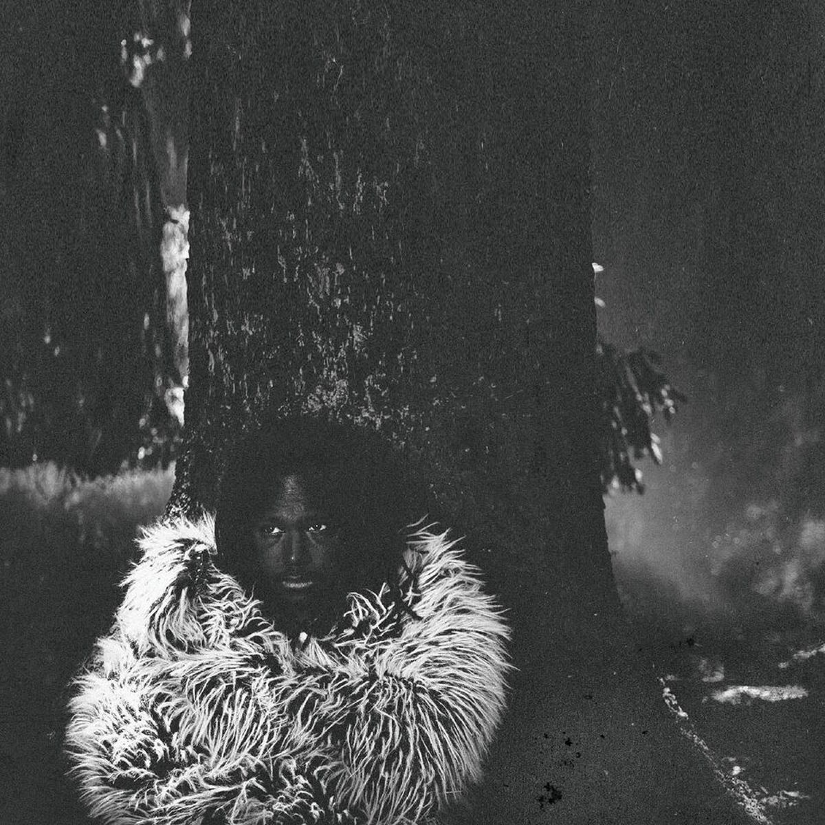 Album cover of The Meaning