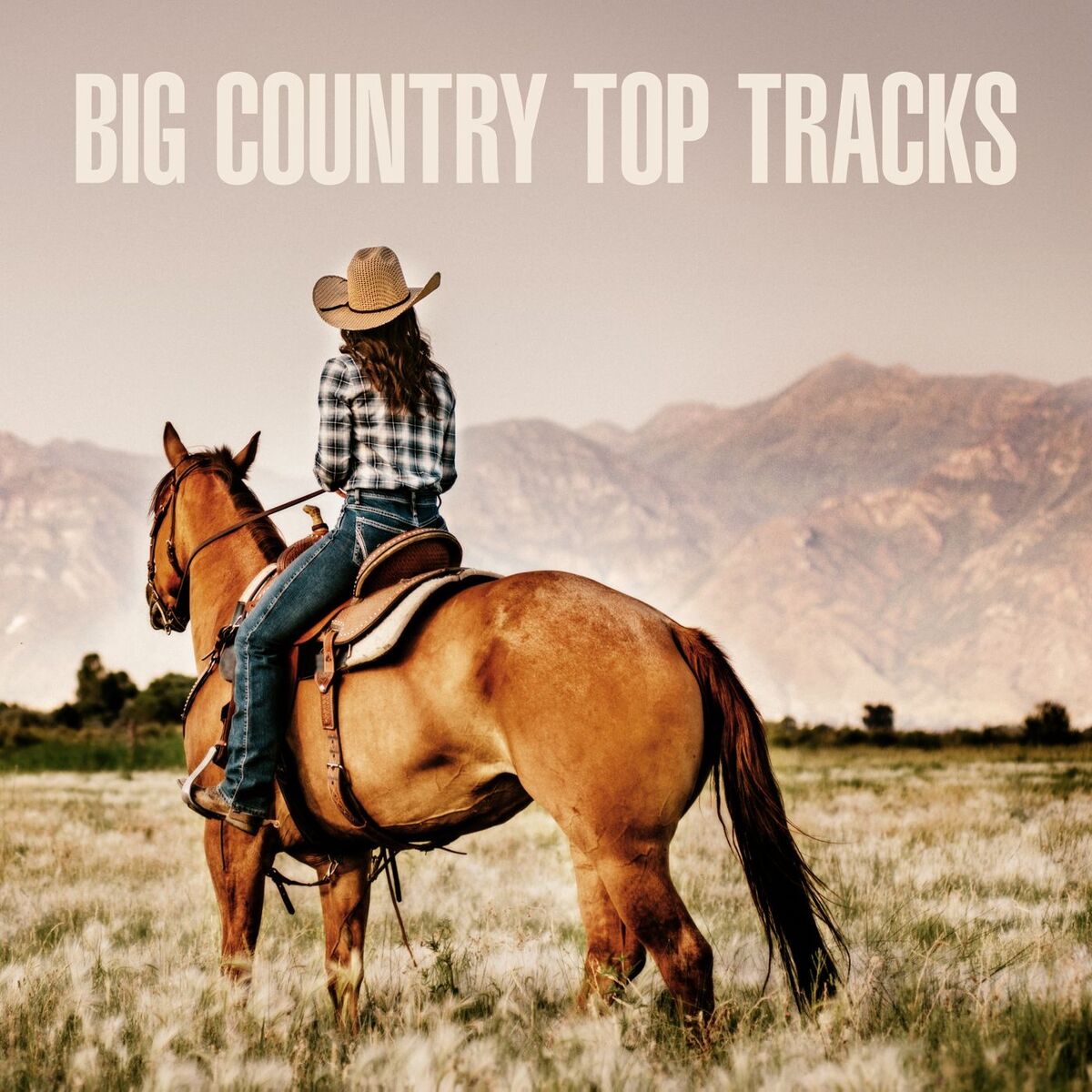 Album cover of Big Country Top Tracks