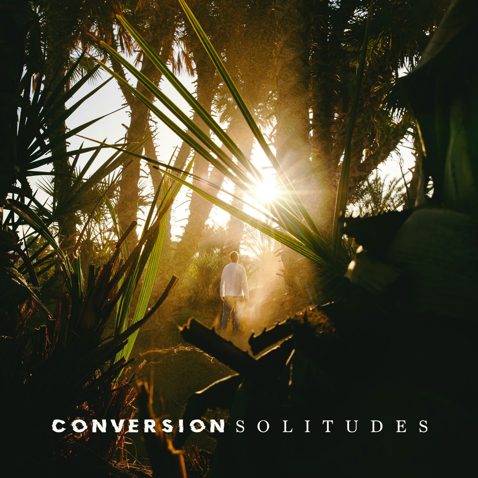 Album cover of Conversion