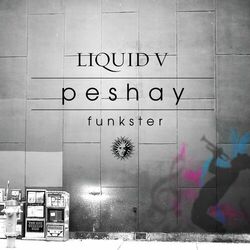 Cover of Funkster