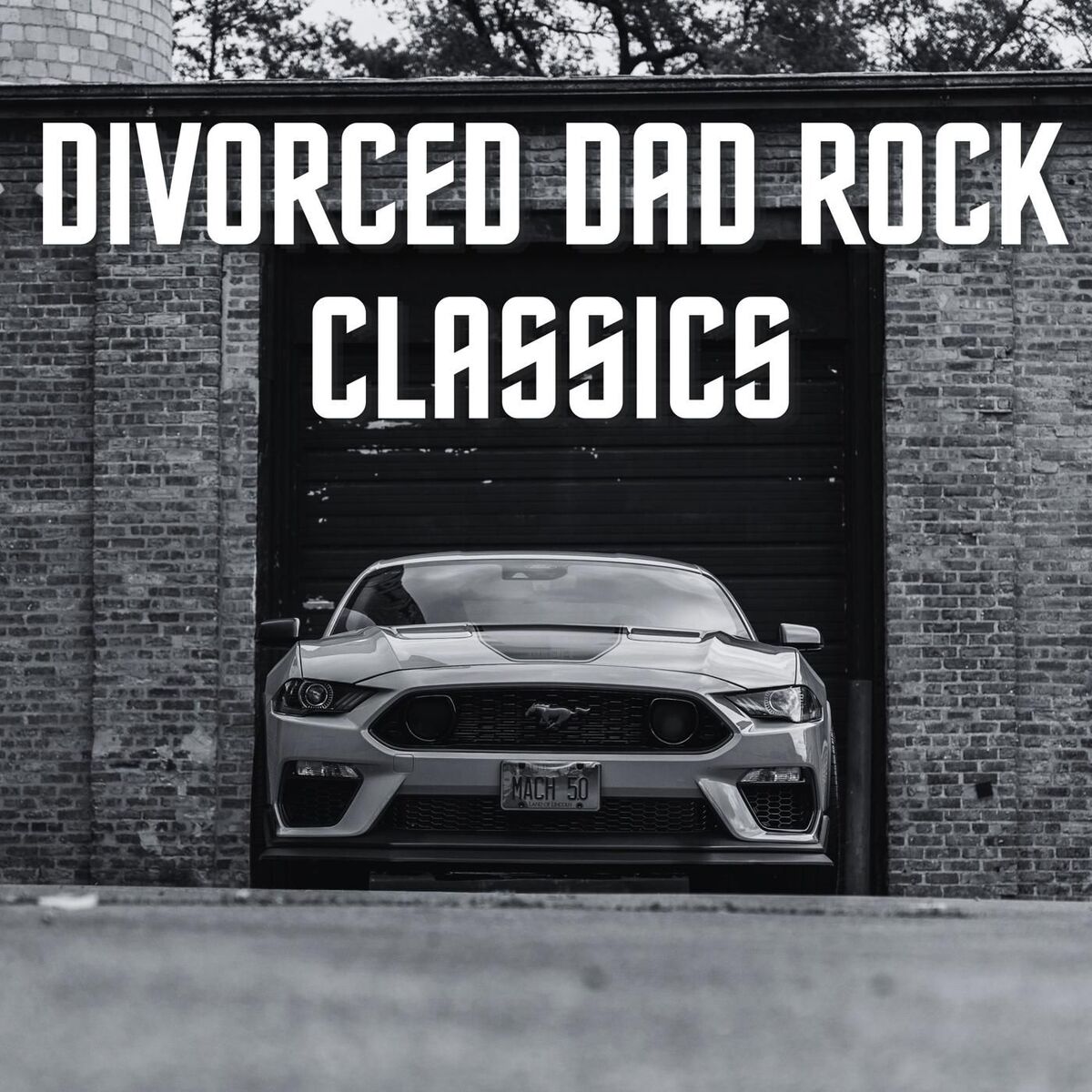 Album cover of Divorced Dad Rock Classics