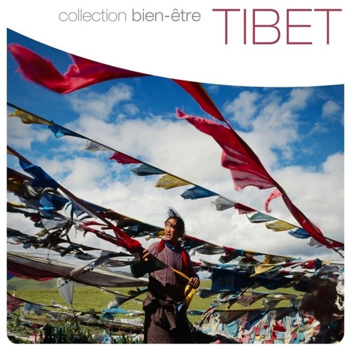 Album cover of La route des sommets