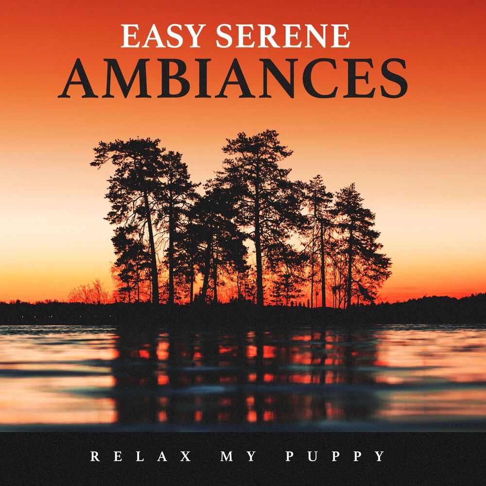 Picture of Easy Serene Ambiances