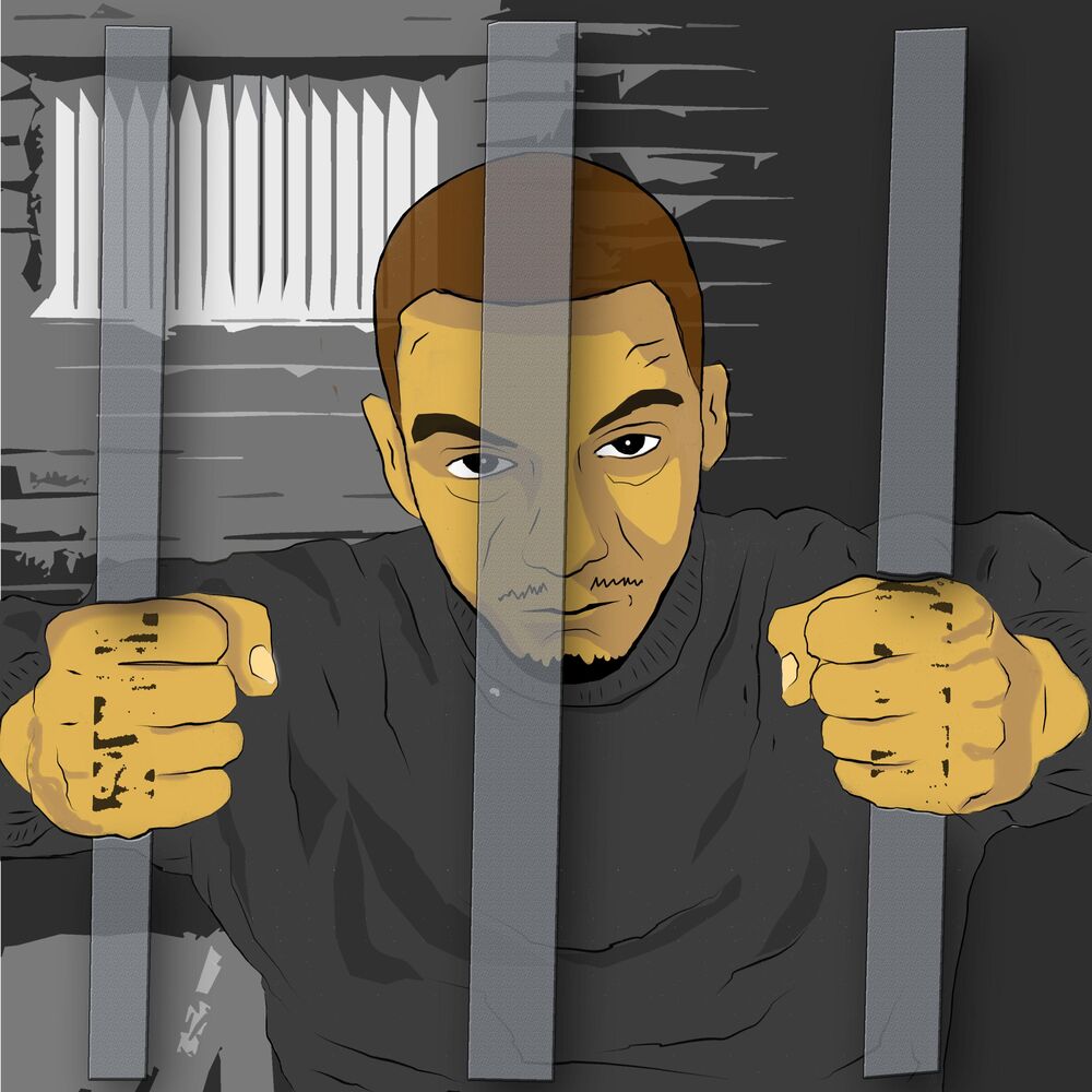 Picture of Free Robis