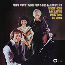 Cover of Mendelssohn & Schumann: Piano Trios in D Minor