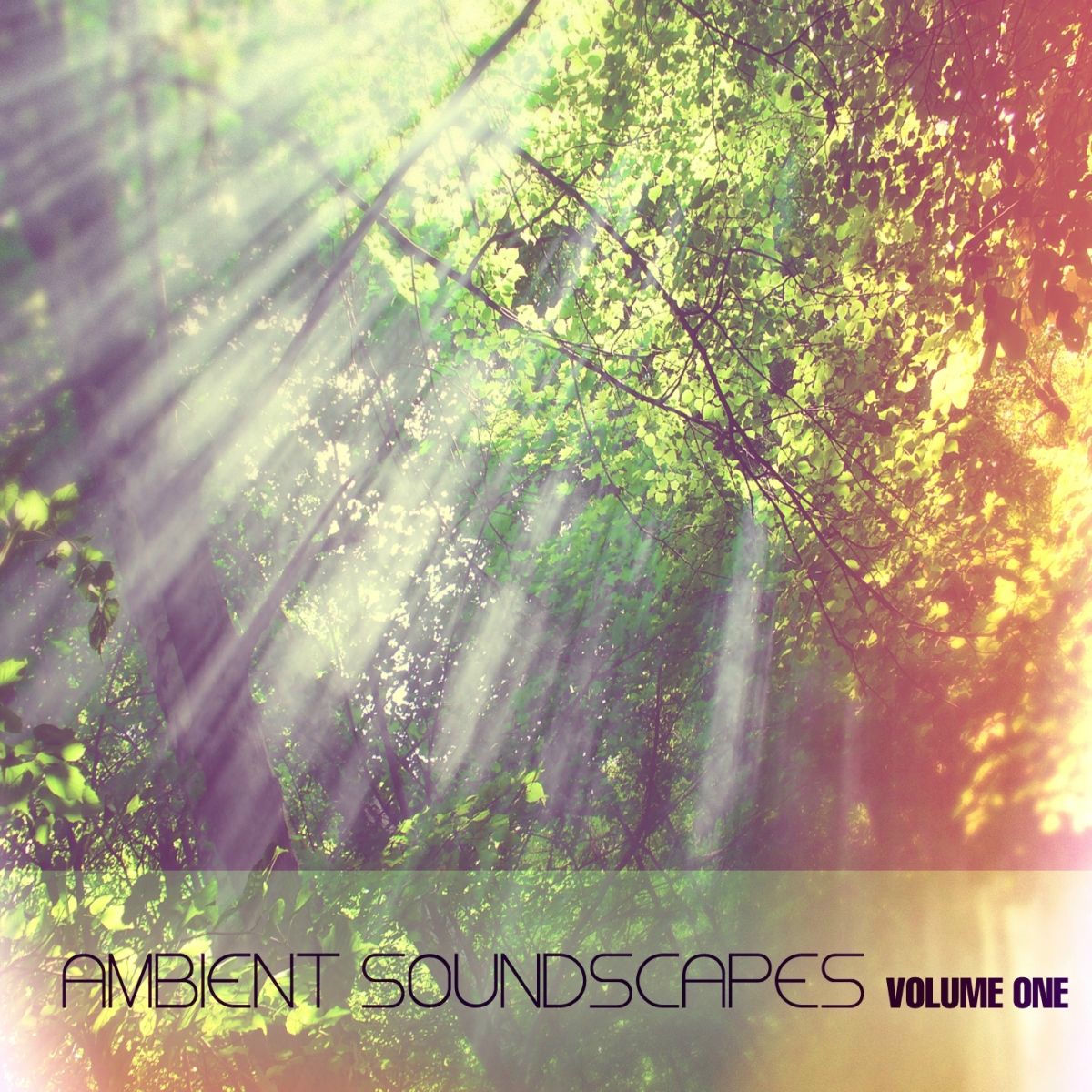 Album cover of Ambient Soundscapes, Vol.1