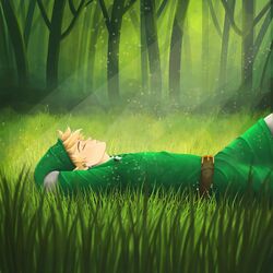 Cover of Zelda & Sleep