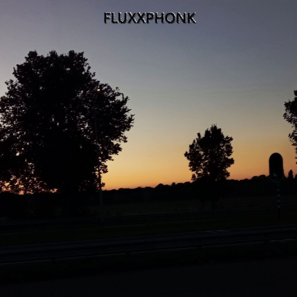 Picture of Fluxxphonk