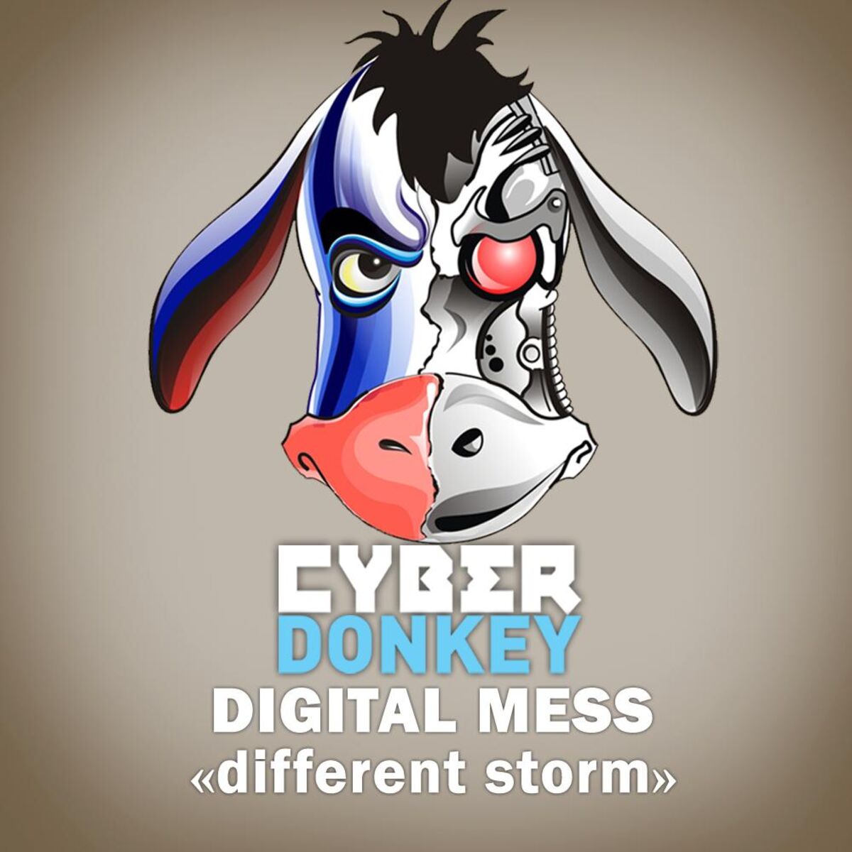 Album cover of Different Storm