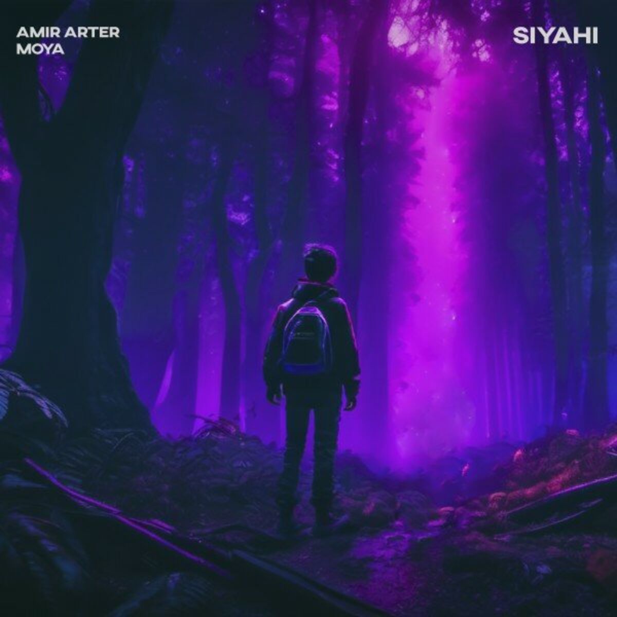 Album cover of Siyahi