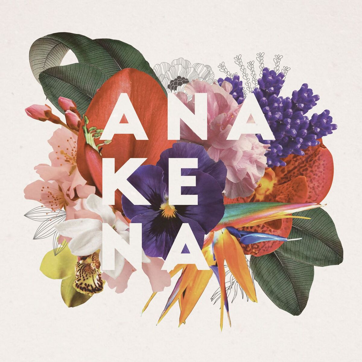 Album cover of Anakena