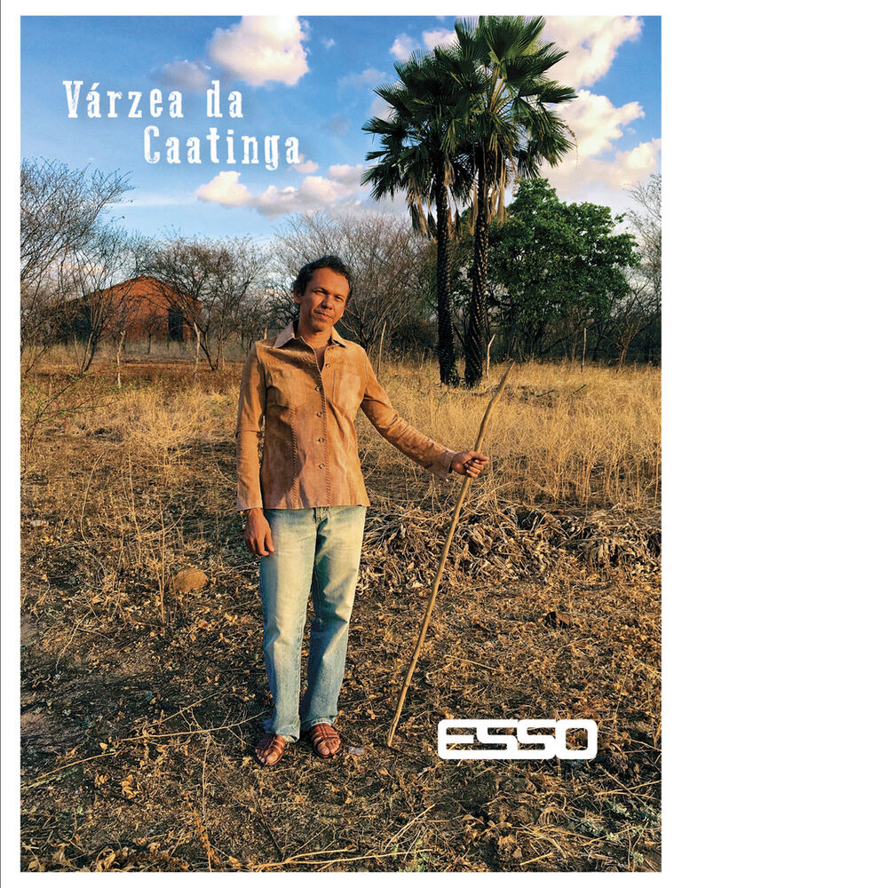 Picture of Várzea da Caatinga