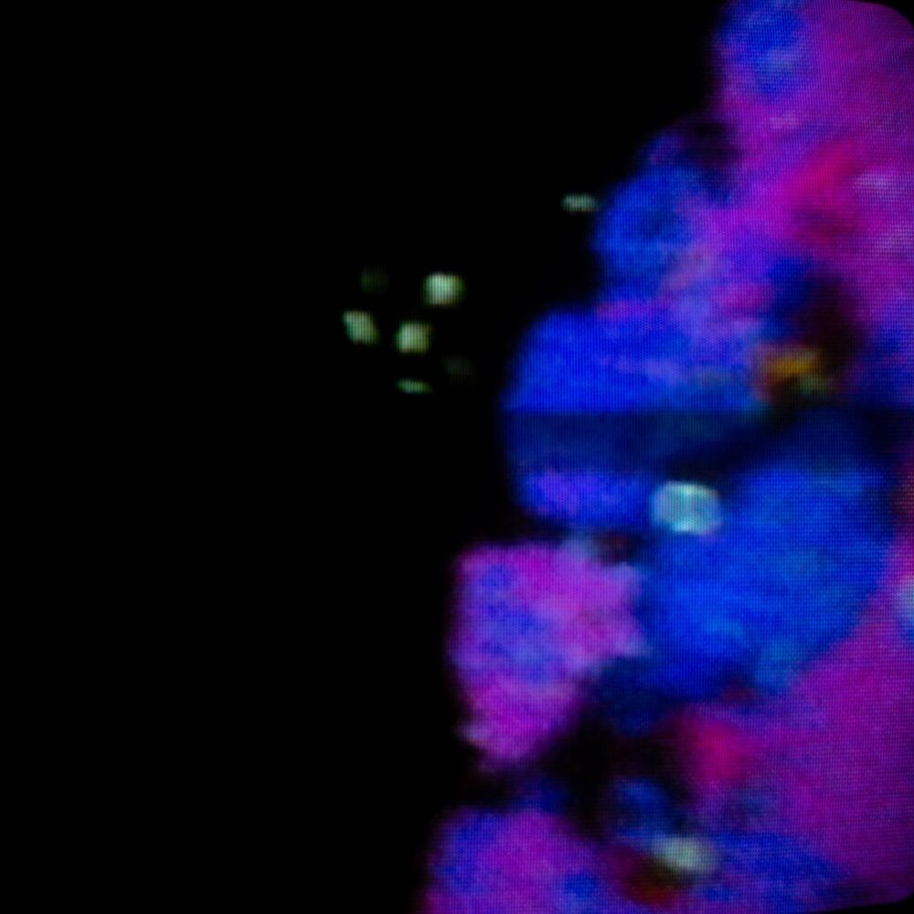 Picture of Flower