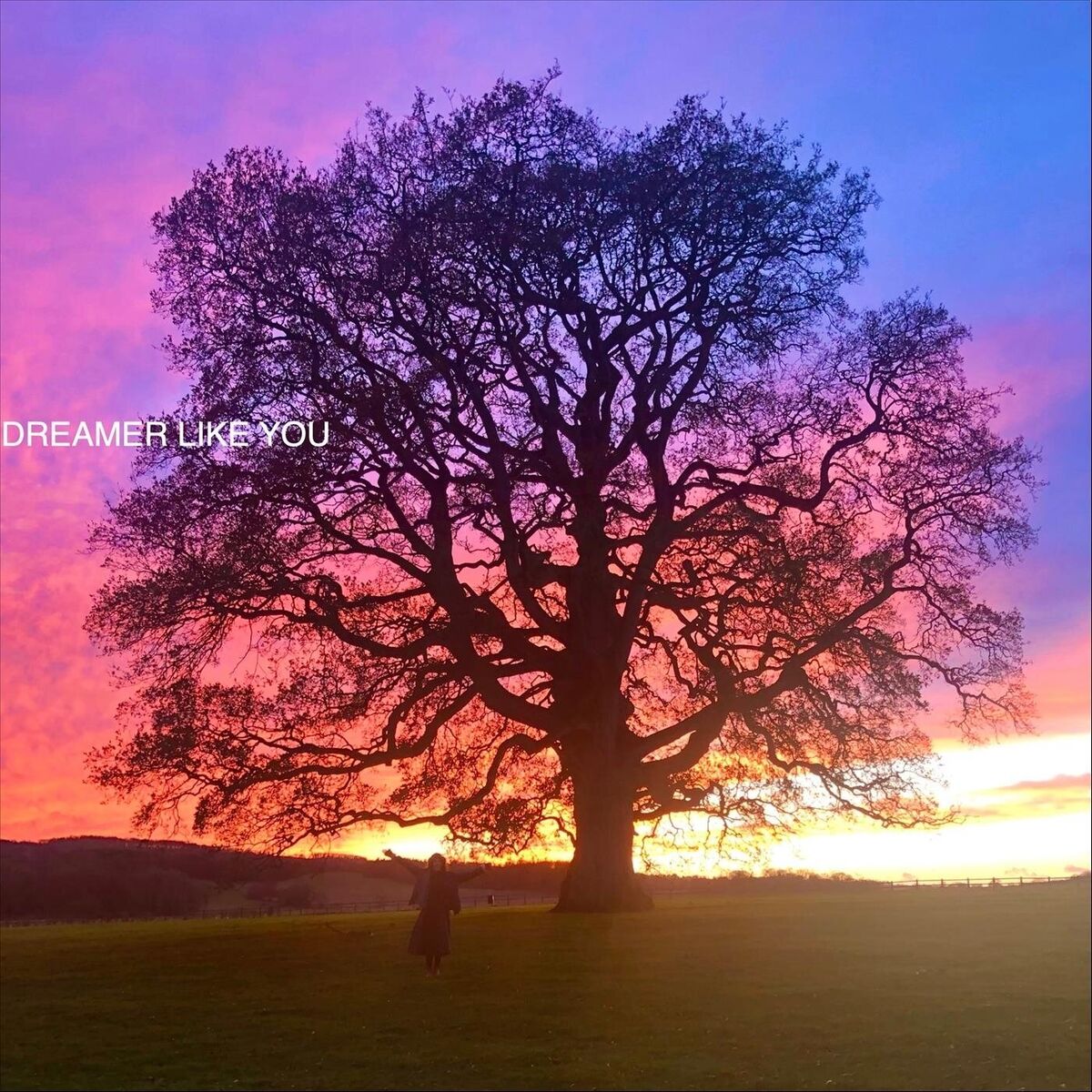 Album cover of Dreamer Like You
