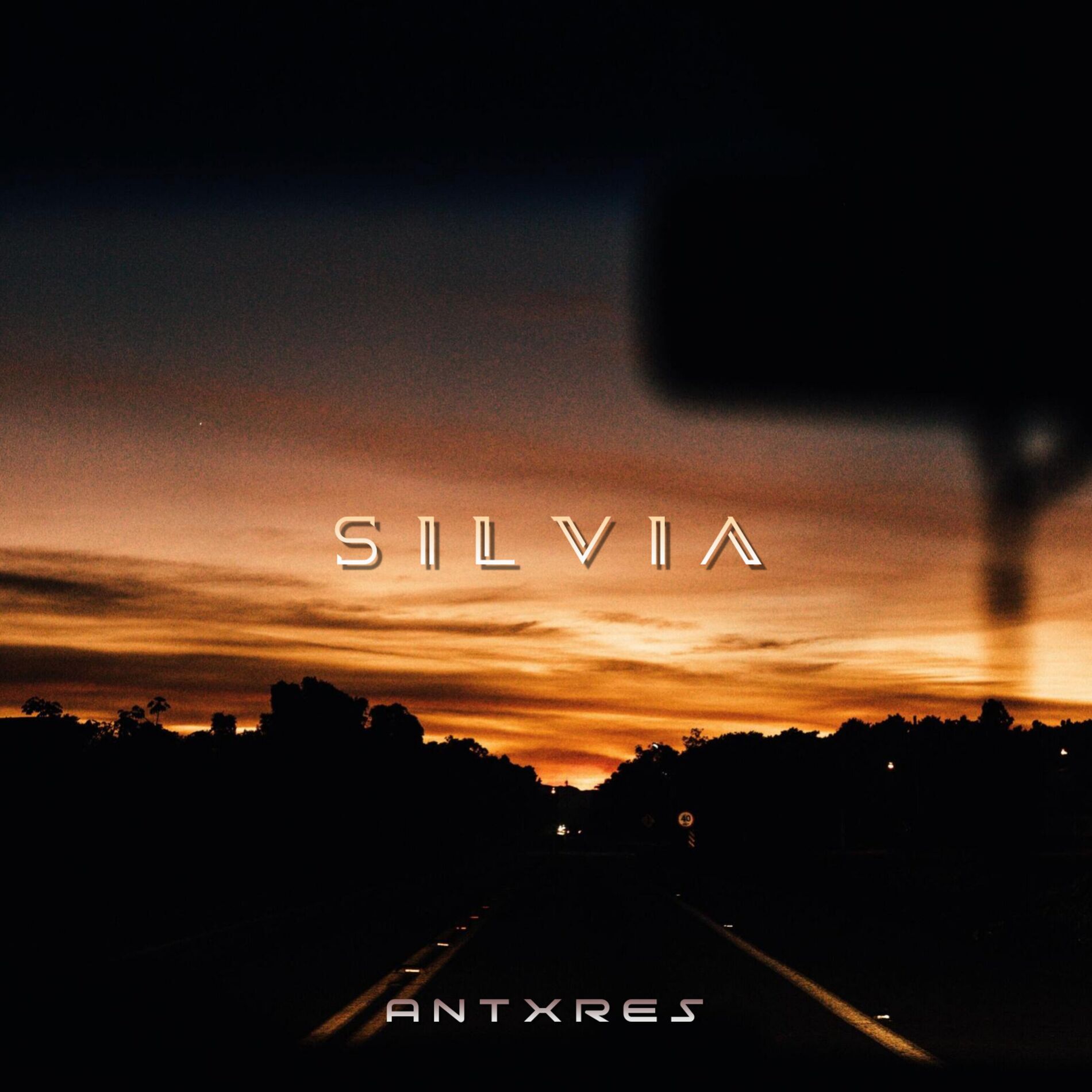 Album cover of Silvia