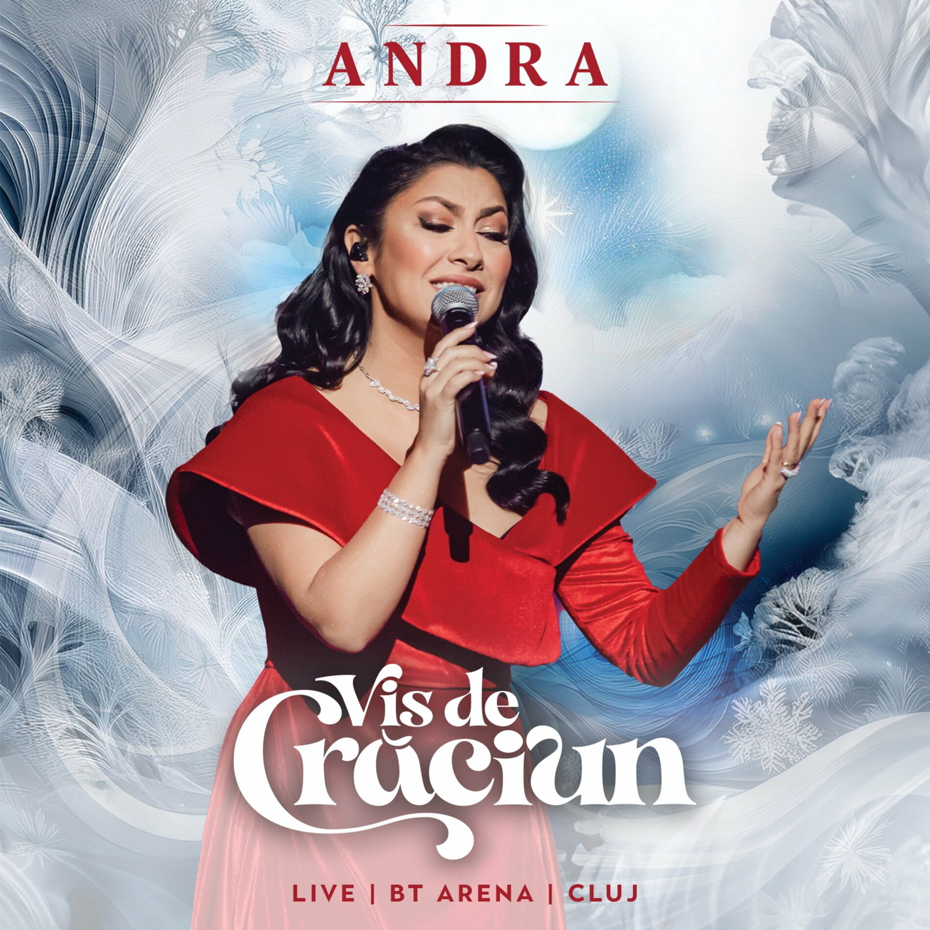 Album cover of Vis de Crăciun (Concert Fenomen de Colindă și Frumos la Cluj-Napoca)