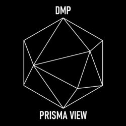 Cover of PRISMA VIEW