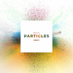 Cover of Particles