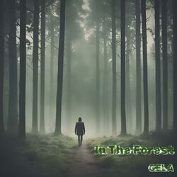Cover of In The Forest