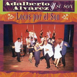 Cover of Locos por el son