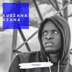 Cover of Kudzana Dzana