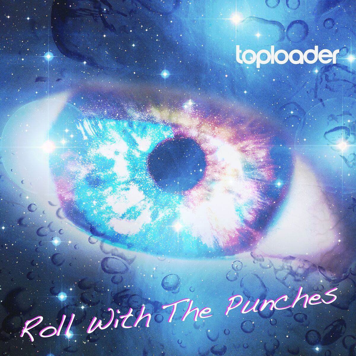 Album cover of Roll with the Punches