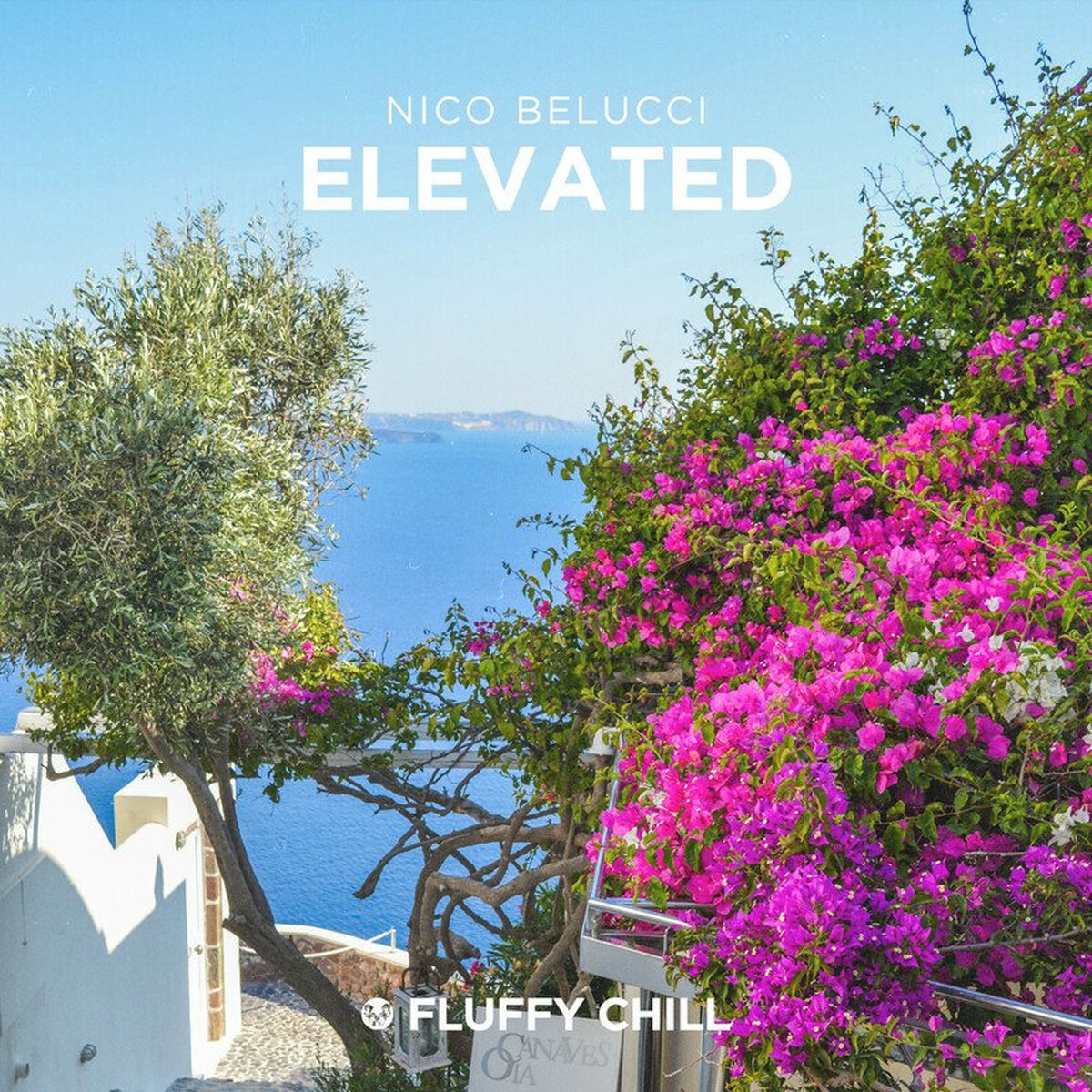 Album cover of Elevated