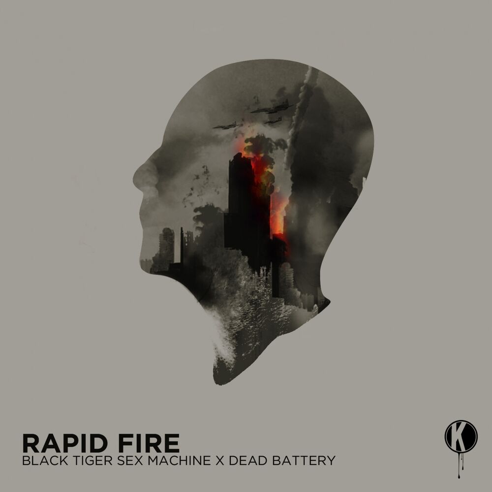Picture of Rapid Fire