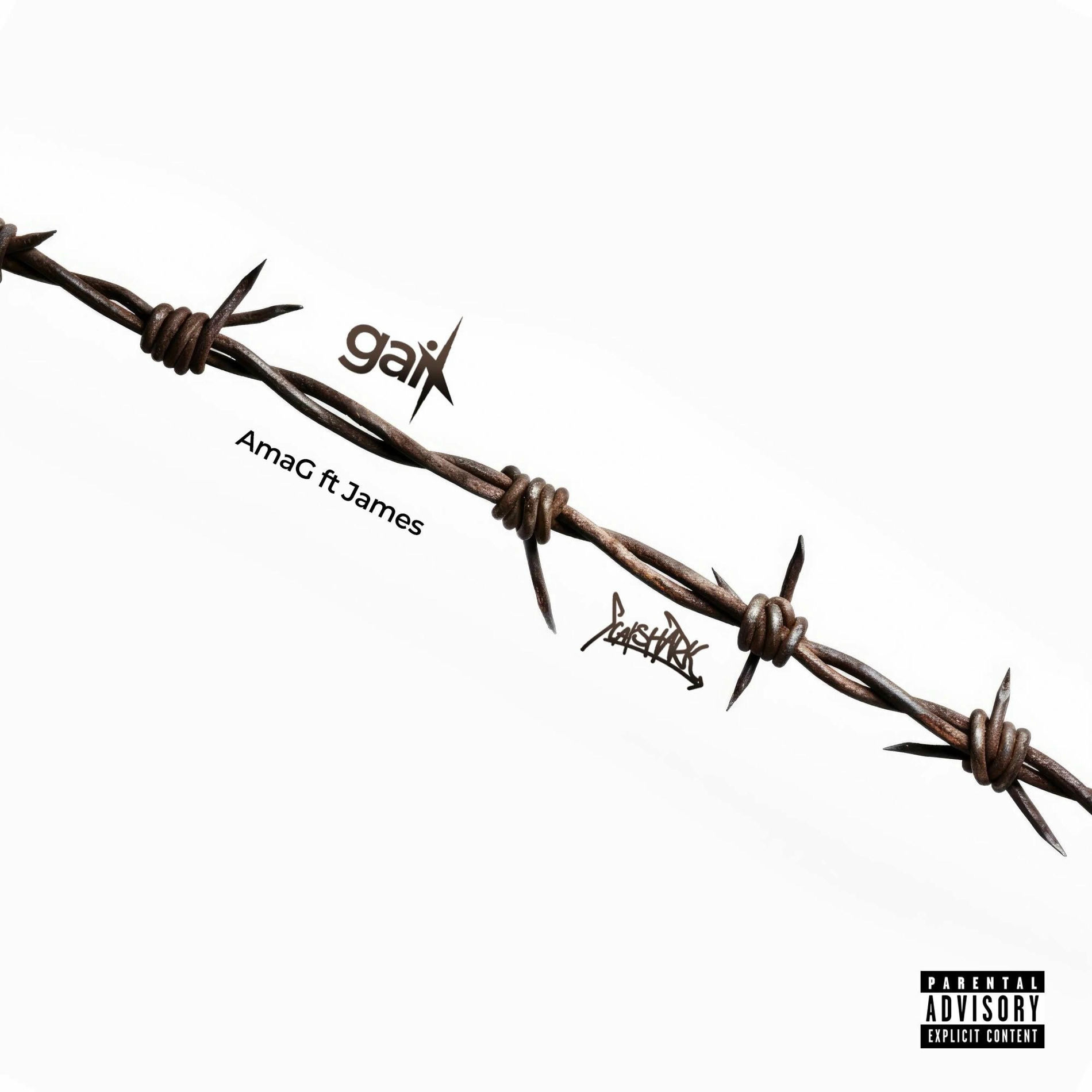 Album cover of GAI (feat. AmaG)