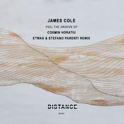 Cover of Feel The Groove EP