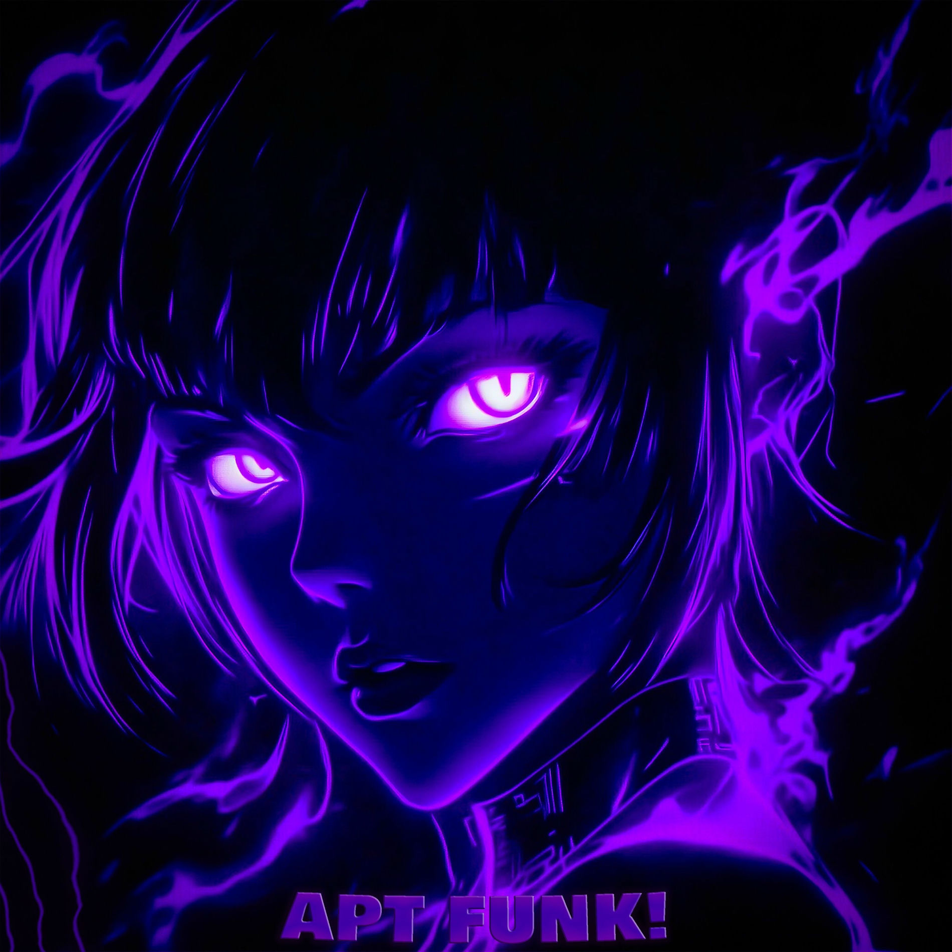 Album cover of APT FUNK!