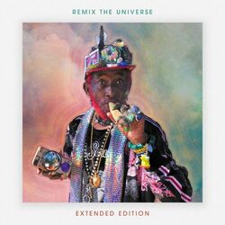 Cover of Remix the Universe (Extended Edition)