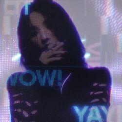Cover of DANCE FLOOR