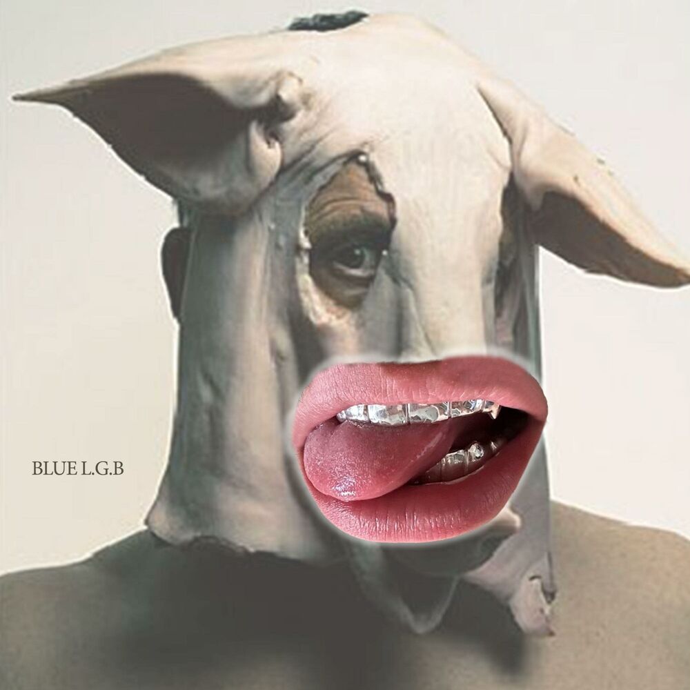 Picture of Blue L.G.B