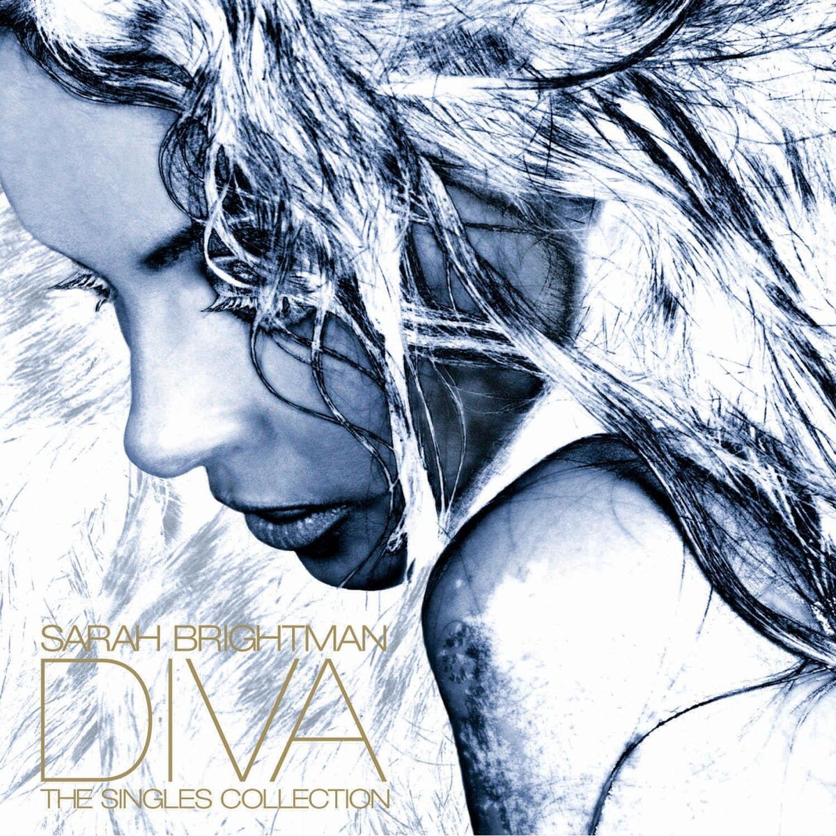 Album cover of Diva: The Singles Collection