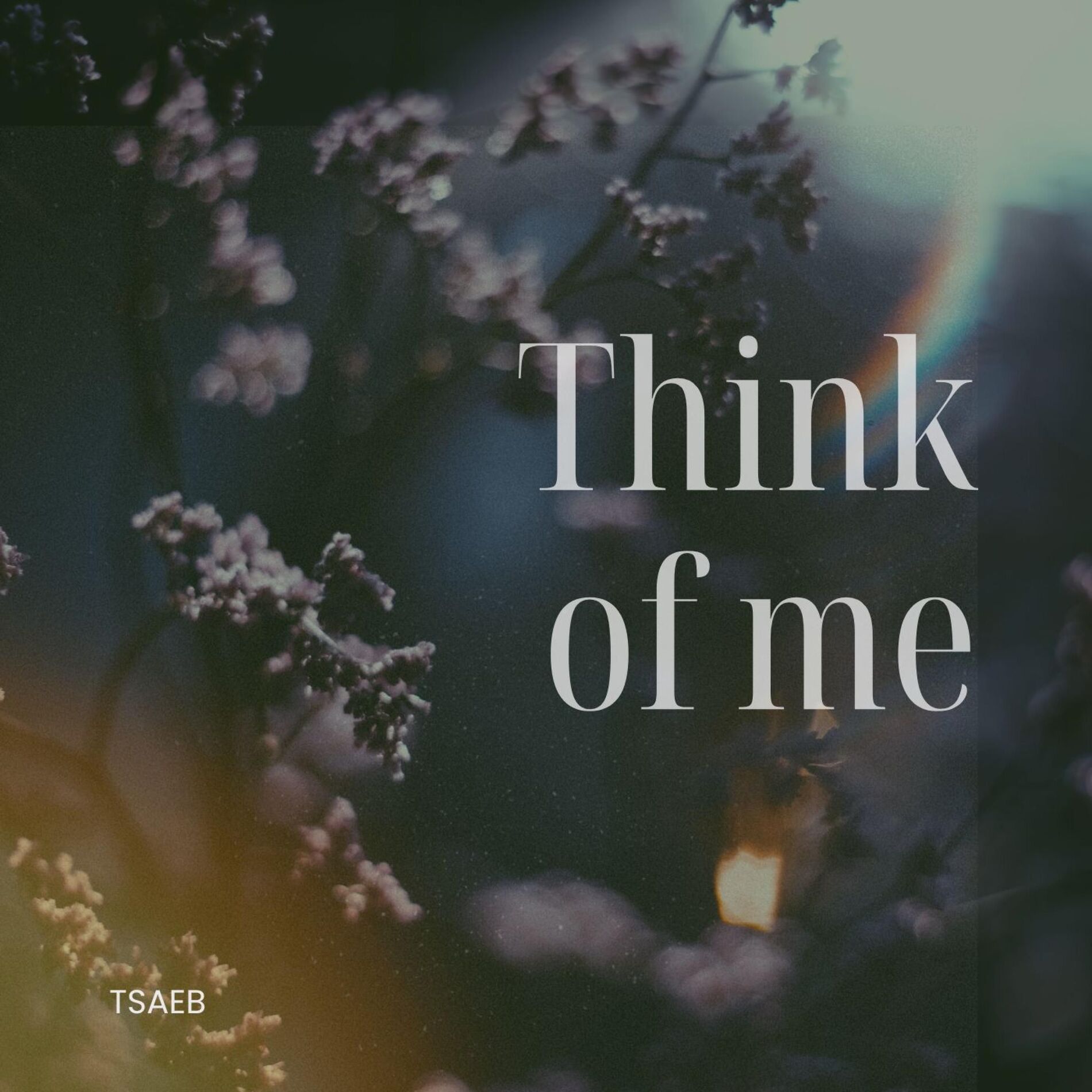 Album cover of think of me