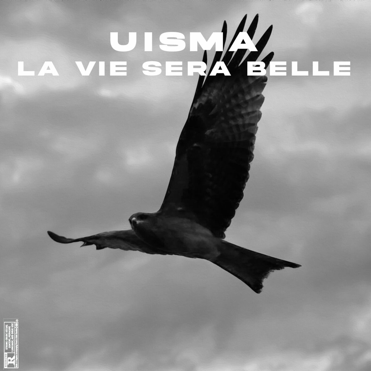 Album cover of LA VIE SERA BELLE