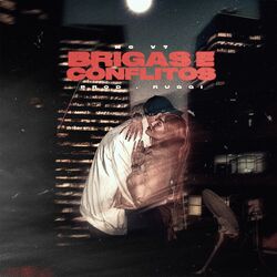 Cover of Brigas e Conflitos