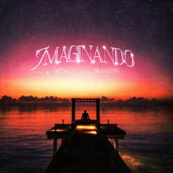 Cover of Imaginando