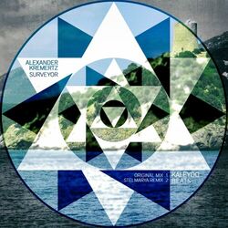 Cover of Surveyor