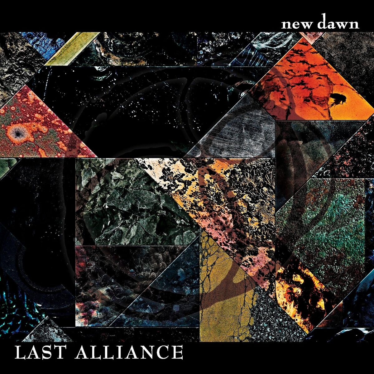 Album cover of new dawn