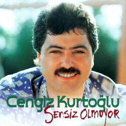 Cover of Sensiz Olmuyor