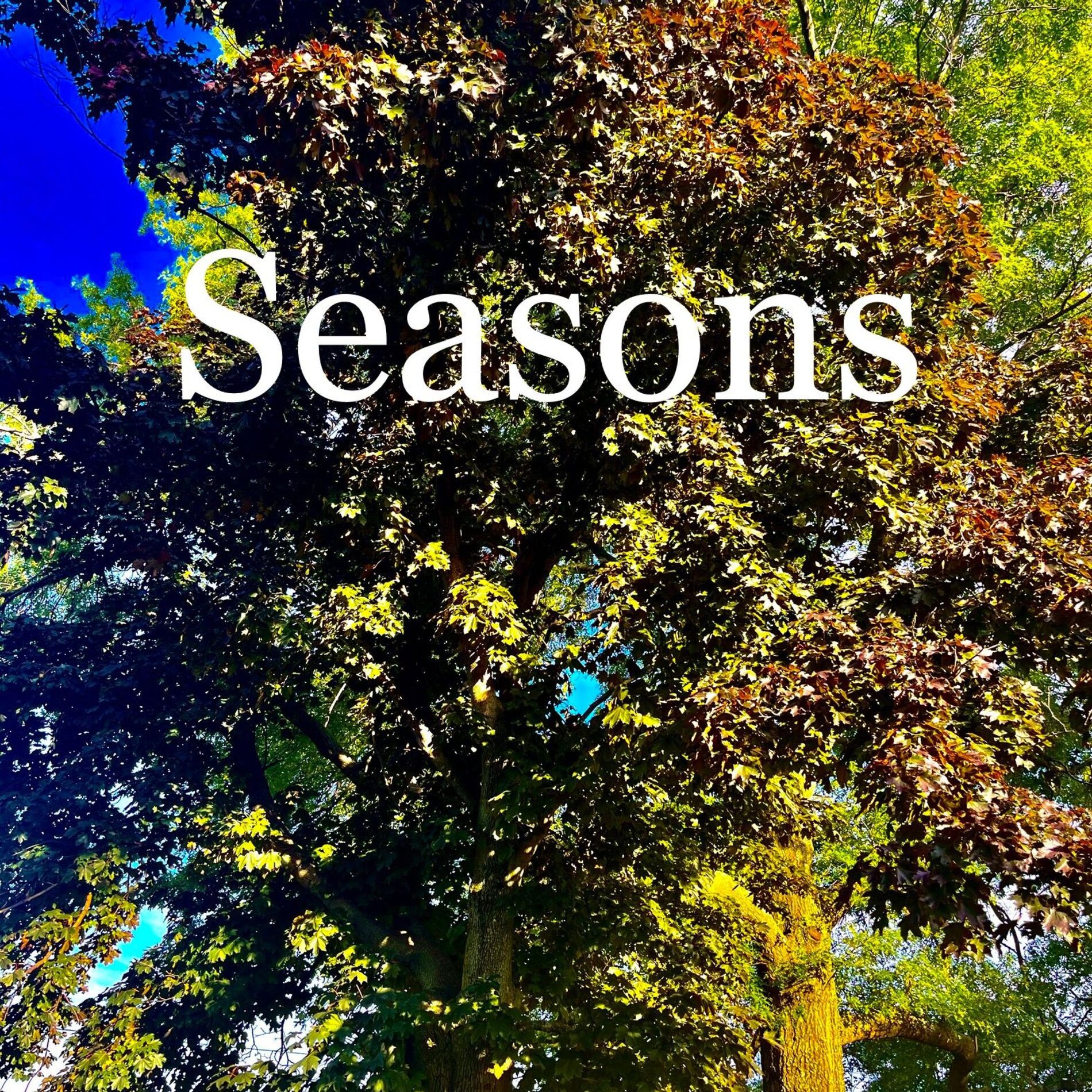 Album cover of Seasons (feat. Jacob Vallen)