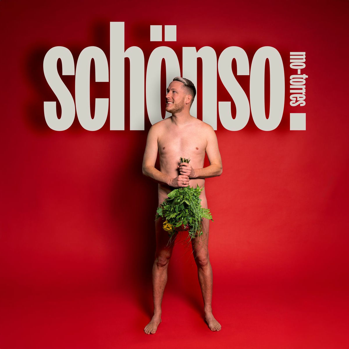 Album cover of schönso.