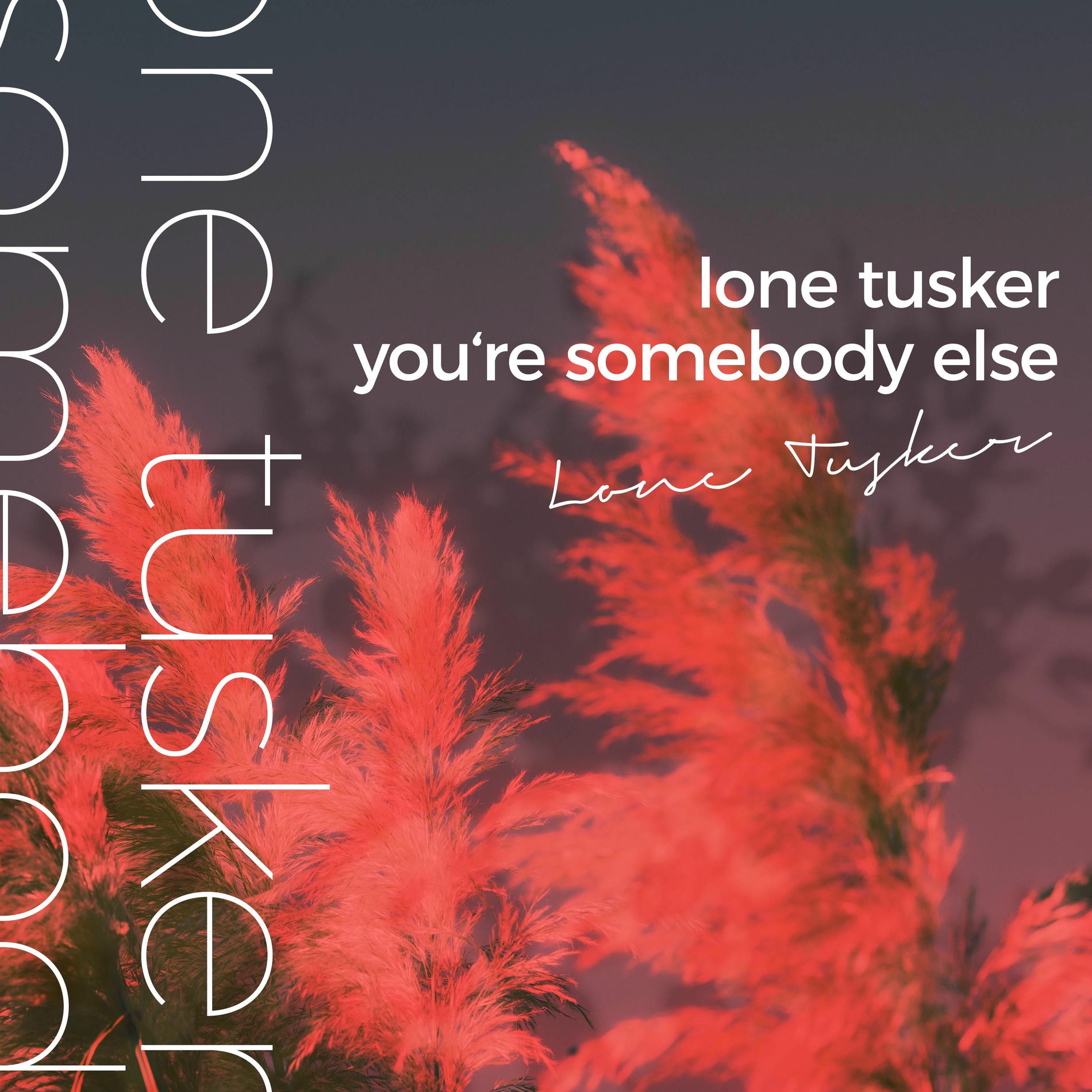 Album cover of You're Somebody Else