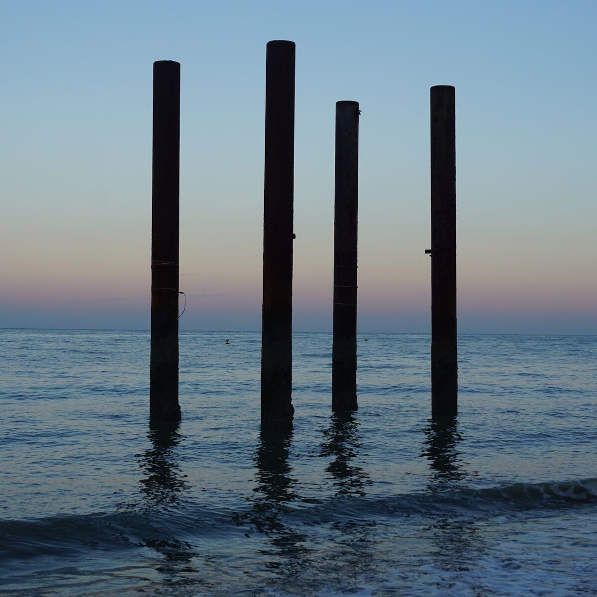 Album cover of String Quartet No. 1