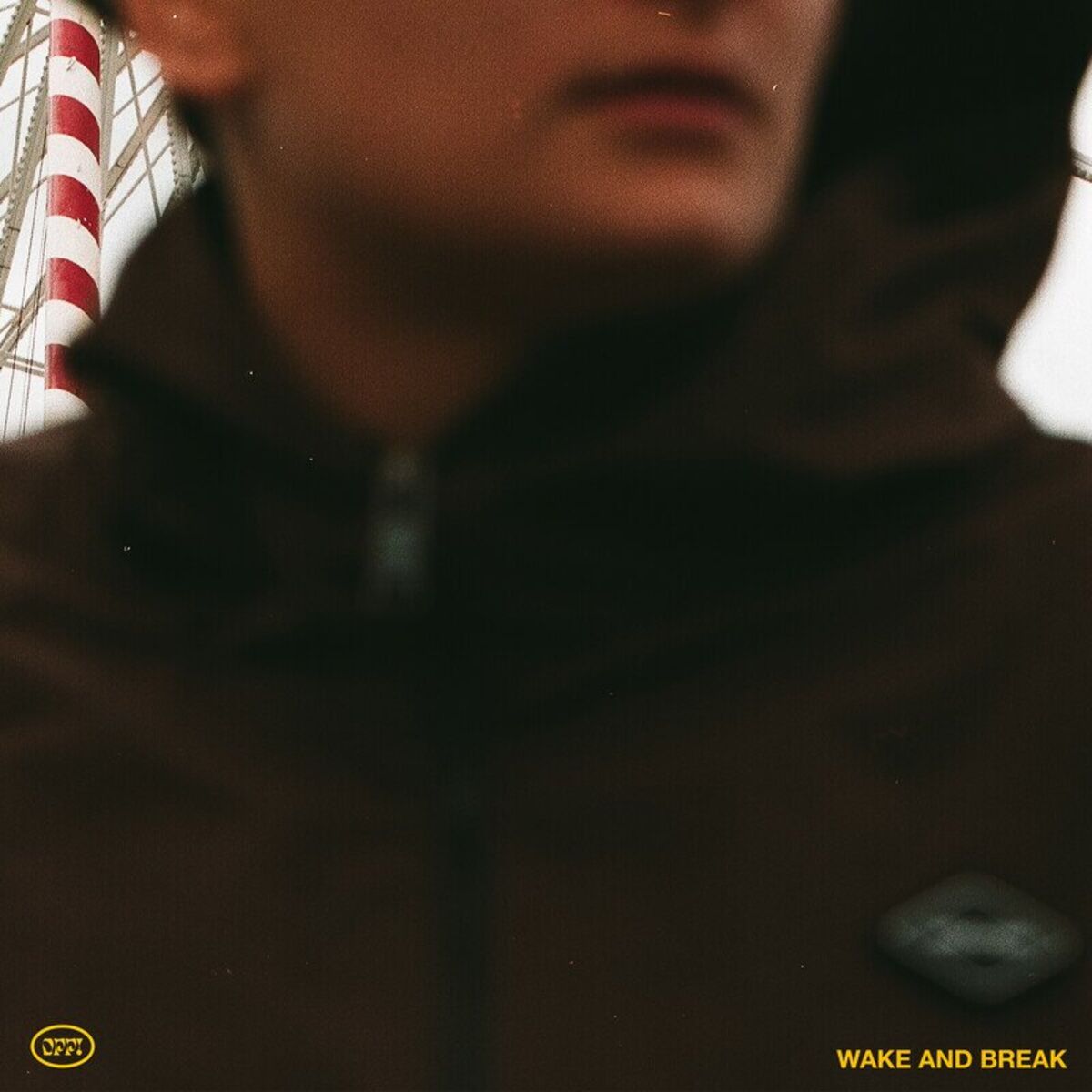Album cover of WAKE AND BREAK